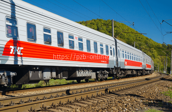 Перевозчики железной дороги в России