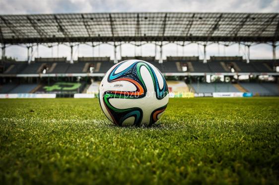 В РЖД планируют крупные перевозки в период чемпионата Европы по футболу